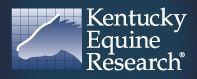Equine Rehabilitation at Circle Back Farm